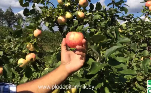 Превью видео