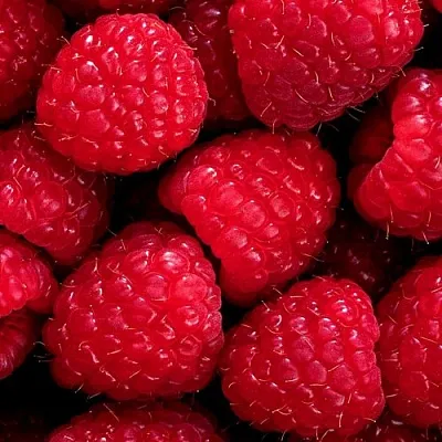 Малина  Малина в Набережных Челнах