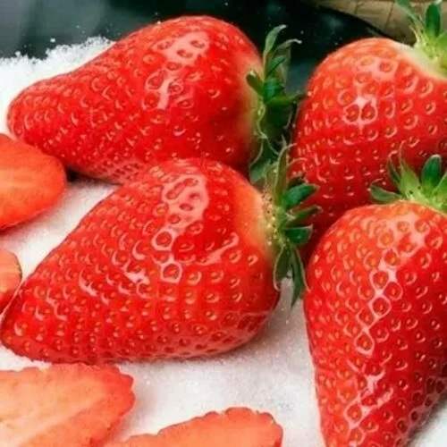 Клубника АЛЬБА в Набережных Челнах